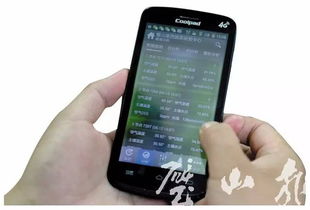 農業(yè)科技園區(qū)引入物聯(lián)網(wǎng)技術，蔬菜大棚升級為現(xiàn)代化智能工廠